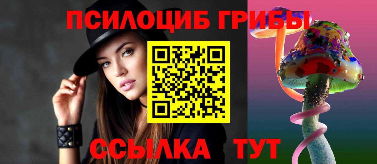 Псилоцибиновые грибы Psilocybine cubensis Валуйки